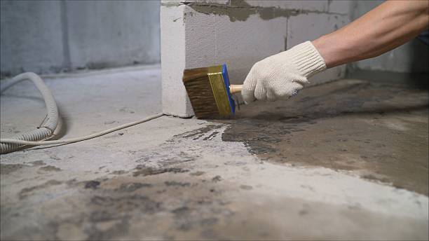 SJ Waterproofing Pros Waterproofing coverage map for Woodbine, GA and surrounding area